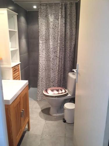 une salle de bain avec toilettes et douche dans l'établissement Adorable guest house/annexe avec terrasse, à Mons