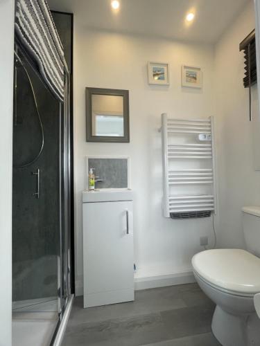 a white bathroom with a shower and a toilet at Pirates Cove Holiday Chalet in Bridlington