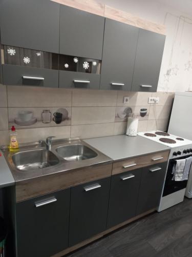 a kitchen with a sink and a stove at Apartman Mici in Niš