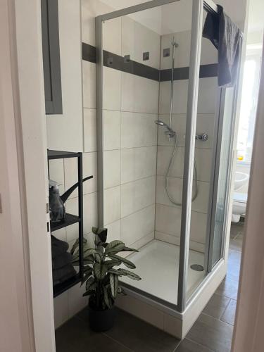 ドレスデンにあるMonteur-& Ferienwohnung Eichmannのバスルーム(ガラスドア付きのシャワー付)