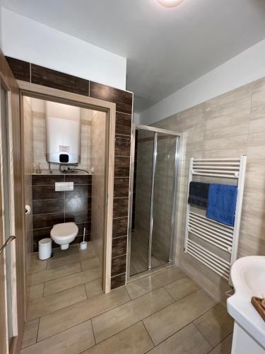 y baño con ducha, aseo y lavamanos. en Rodinný penzion MARMAR, en Ciudad Vieja de Praga