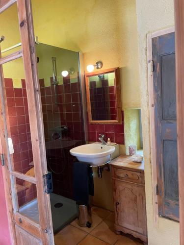 een badkamer met een wastafel, een douche en een spiegel bij Le petit Mas in Vogüé