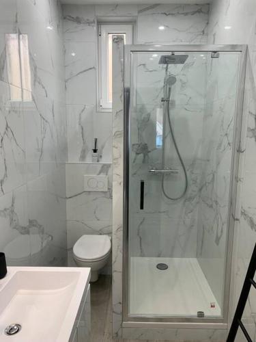 une salle de bain avec une douche, des toilettes et un lavabo dans l'établissement Appartement Etat neuf La Chantalane -proche centre-ville, à Cannes