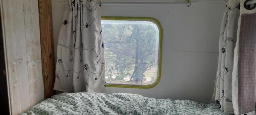 Saint-André-de-Sangonis的住宿－Hébergement insolite nature/4，一间卧室设有窗户和一张带毯子的床