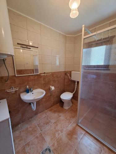 a bathroom with a toilet and a sink and a shower at Šumska idila Rakovac in Zmajevac