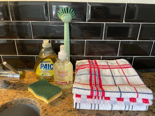 une brosse à gommage verte assise au-dessus d'un évier dans l'établissement Le Douet Fleury - Gîte de Jardin, à Livarot