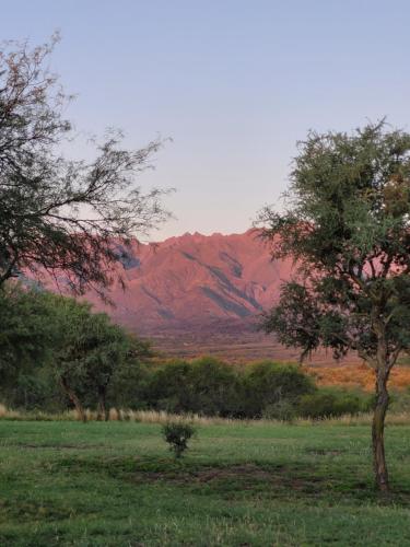 La Comarca – Photos 3