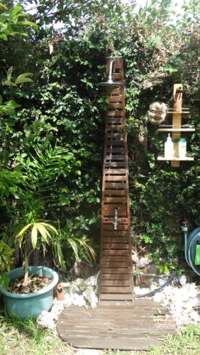 a wooden ladder is leaning against a bush at Le Charme Polynésien proximité plage et commerces in Punaauia