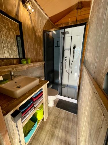 une salle de bain avec un lavabo, des toilettes et une douche dans l'établissement Le Lodge Safari !! Idéal famille., à Draguignan