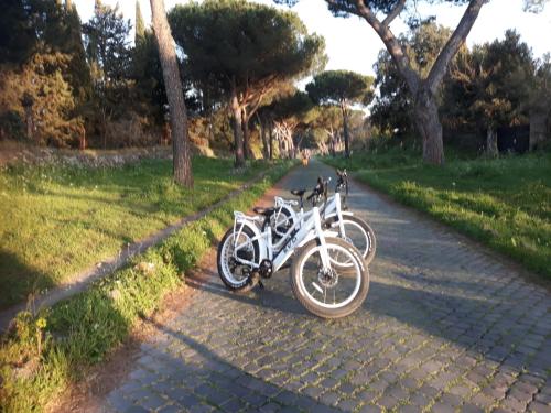 Bici Grill Decimo Miglio – Photos 5