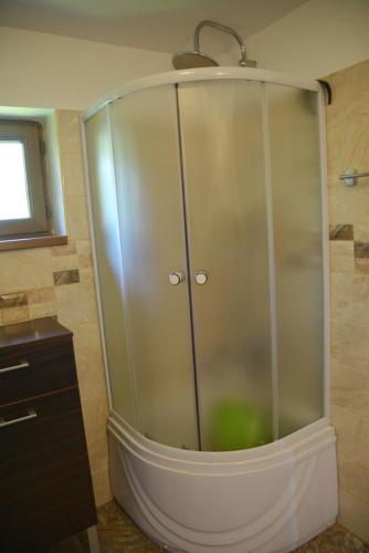 a shower with a glass door in a bathroom at Pensiunea "Vio Merisani " in Merişani