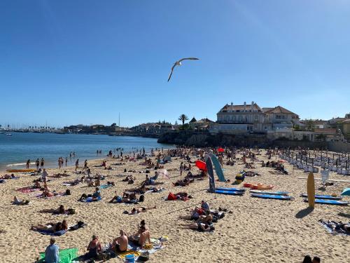 Apartamento Gandarinha junto ao Mar