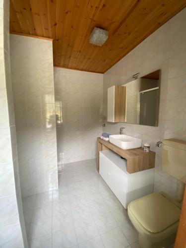 bagno con lavandino e servizi igienici di Semplicità ,Relax a Pinerolo