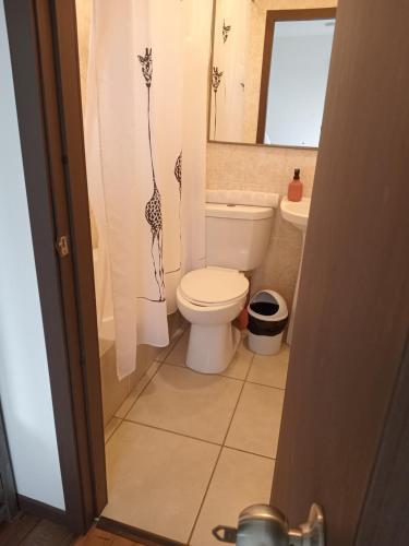 a bathroom with a toilet and a sink at Hospedaje Familiar El Encanto in Puyehue