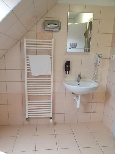 a bathroom with a sink and a mirror at Pension U Tří sedláků in České Budějovice