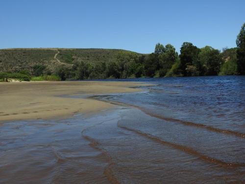 a beach with water and trees in the background at Oorvloed Guesthouse in Swellendam