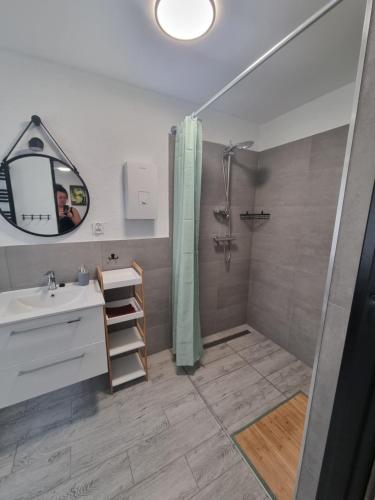 W łazience znajduje się prysznic, umywalka i lustro. w obiekcie Apartament Nova Kamienica 3 w Łagowie