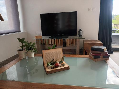 un salon avec une télévision et une table en verre dans l'établissement Un Brain de nature, à La Chapelle-de-Brain