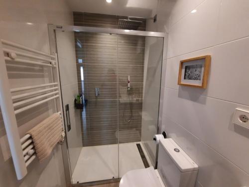 a bathroom with a toilet and a glass shower at Apartamento Dindurra Centro Playa - Posibilidad Parking Gratuito in Gijón