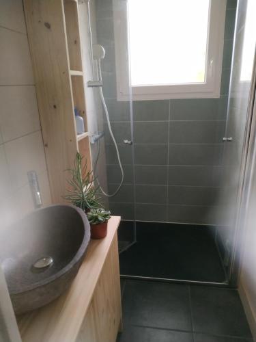 a bathroom with a sink and a shower at Seignosse : Mandago Surf Home in Seignosse