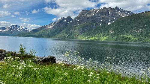 a view of a lake with mountains in the background at Norwegian Dream in Gratangen