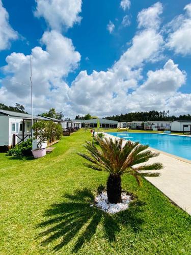 a palm tree sitting in the grass next to a pool at Bungalow 4x3 in Burinhosa