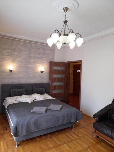 Zöld Sziget Apartmanlakás 3300 Eger, 27 Egészségház utca 1. em 6. kép - 3
