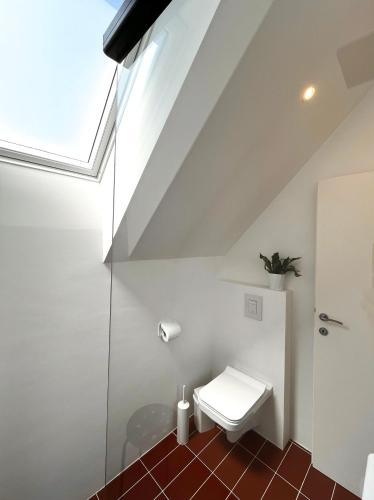 a bathroom with a toilet under the stairs at Hiša ob stolpu in Lendava