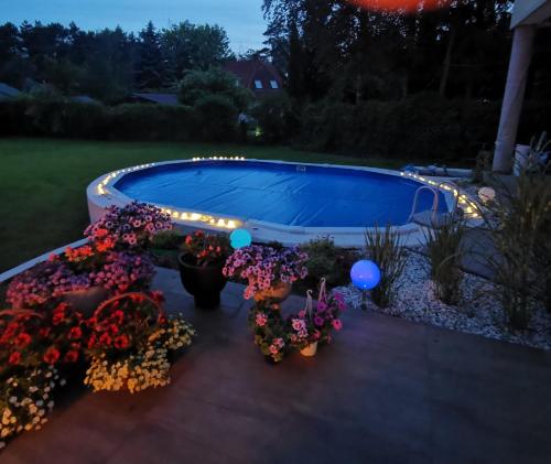 una piscina con flores y luces en un patio en RETRO WILLA, en Koronowo