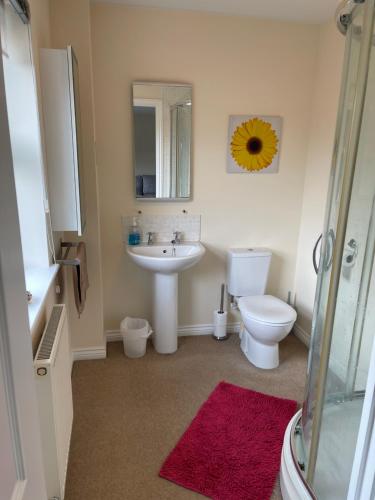 a bathroom with a sink and a toilet and a mirror at Spacious 8 bed house Kirkby in Ashfield Nottingham in Kirkby in Ashfield