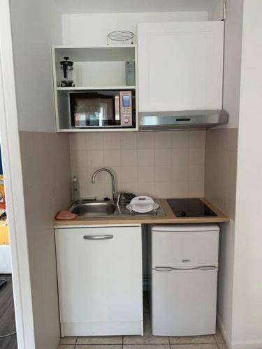 une petite cuisine avec un évier et un micro-ondes dans l'établissement Appartement Rangeuil Toulouse, à Toulouse