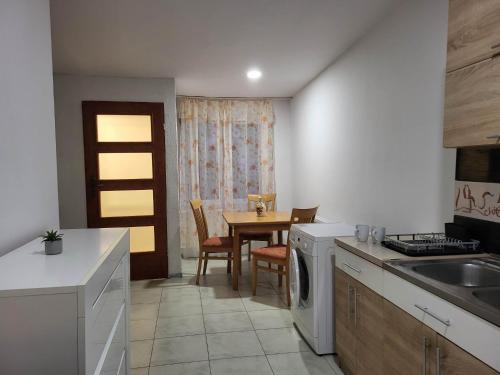 a kitchen with a sink and a table with a dishwasher at Pokoje pracownicze Witkowska in Gniezno