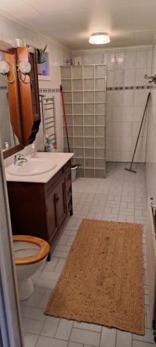 y baño con lavabo, aseo y ducha. en Bentevägen, en Strömstad