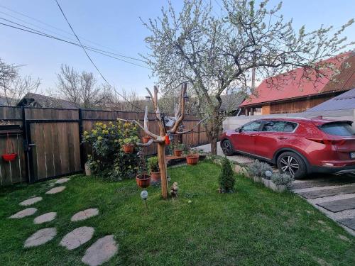 un patio con un coche rojo estacionado en el patio en Drevenica na Považí, en Dolná Mariková