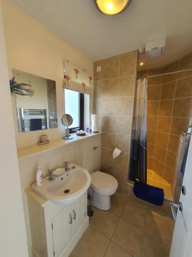 W łazience znajduje się umywalka, toaleta i lustro. w obiekcie Self catering accommodation three bedroom house or one bedroom cottage w mieście Tomintoul