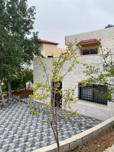 a small tree in front of a building at Moon Apartments in Jerash