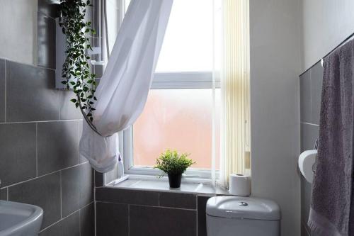 a bathroom with a window with a plant in it at LFC Stadium Apartment 4 in Liverpool