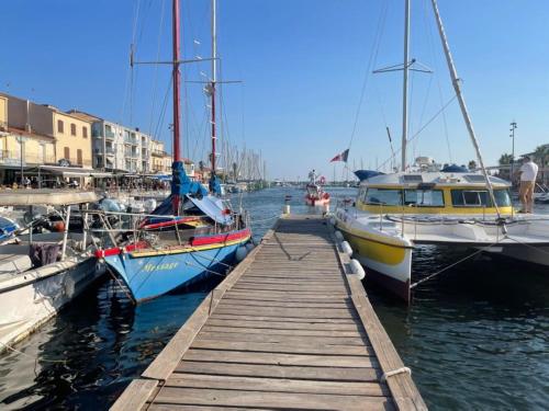 a group of boats docked at a dock at Studio vue château 100m étang, plage et halles in Mèze