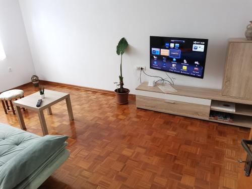 Il comprend un salon doté d'un canapé et d'une télévision à écran plat. dans l'établissement Apartma David, à Most na Soči