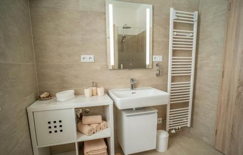 Apartmánový dům Sklípekにあるバスルーム