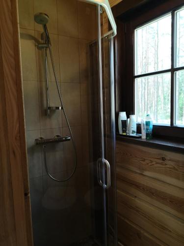 a shower with a glass door in a bathroom at Antalieptės sodyba in Baibiai