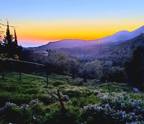 Gallery image of Shkolla Hostel & Camping in Vuno