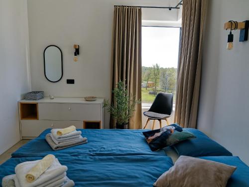 Schlafzimmer mit einem Bett mit blauer Bettwäsche und einem Fenster in der Unterkunft Villa goISTRIA in Fuškulin