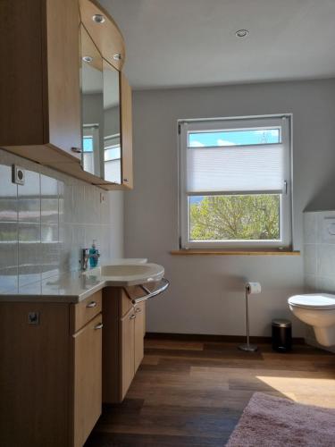 Un baño con lavabo y ventana. en FERIENHAUS ZUM HOLZMICHEL, en Thale