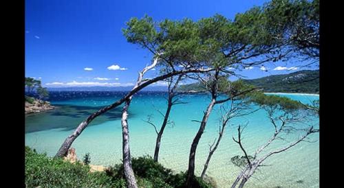 Petit coin de paradis les pieds dans l’eau