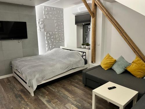 a bedroom with a bed and a couch and a tv at Apartament Bronowice in Krakow