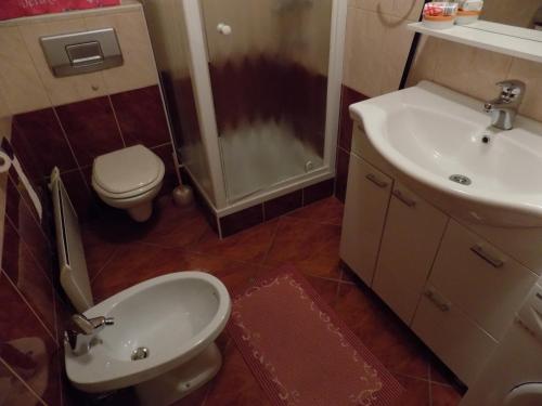 a bathroom with a toilet and a sink and a shower at Apartment Zeleni dragulj Pohorje in Oplotnica