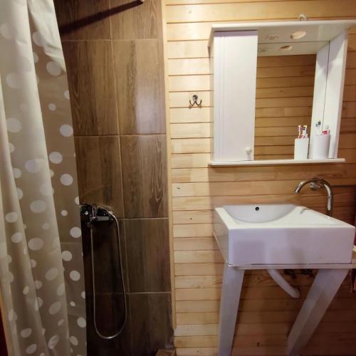 a bathroom with a sink and a shower at FREEDOM 2 in Gornji Štoj