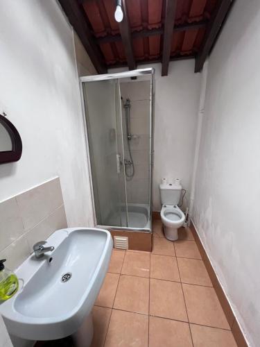 La salle de bains est pourvue d'une douche, d'un lavabo et de toilettes. dans l'établissement Fernando Guest House, à Aveiro