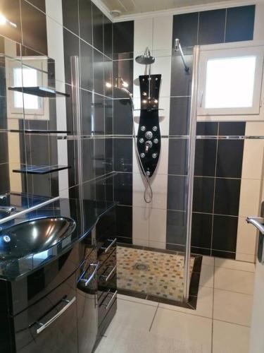 une salle de bain avec une douche en verre avec un lavabo dans l'établissement maison entre lacs et ocean, à Aureilhan